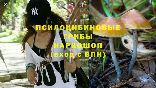 ГАЛЛЮЦИНОГЕННЫЕ ГРИБЫ Алзамай