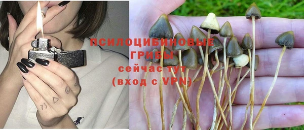ГАЛЛЮЦИНОГЕННЫЕ ГРИБЫ Алзамай