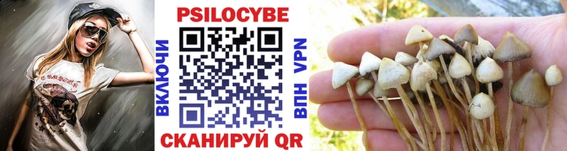 Псилоцибиновые грибы Cubensis Андреаполь